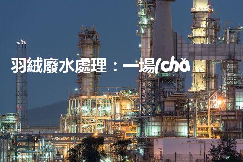羽絨廢水處理：一場(chǎng)綠色環(huán)保的羽毛盛宴？